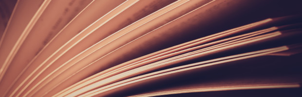 Book - Literature & preaching